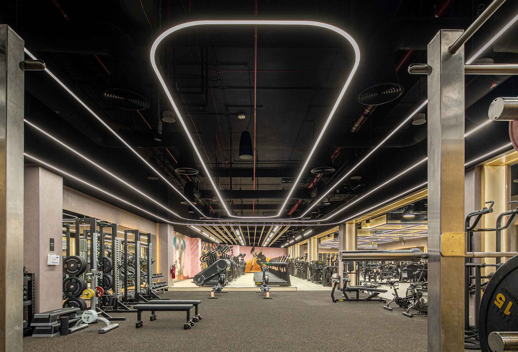 LEDFlex Group - FitNGlam