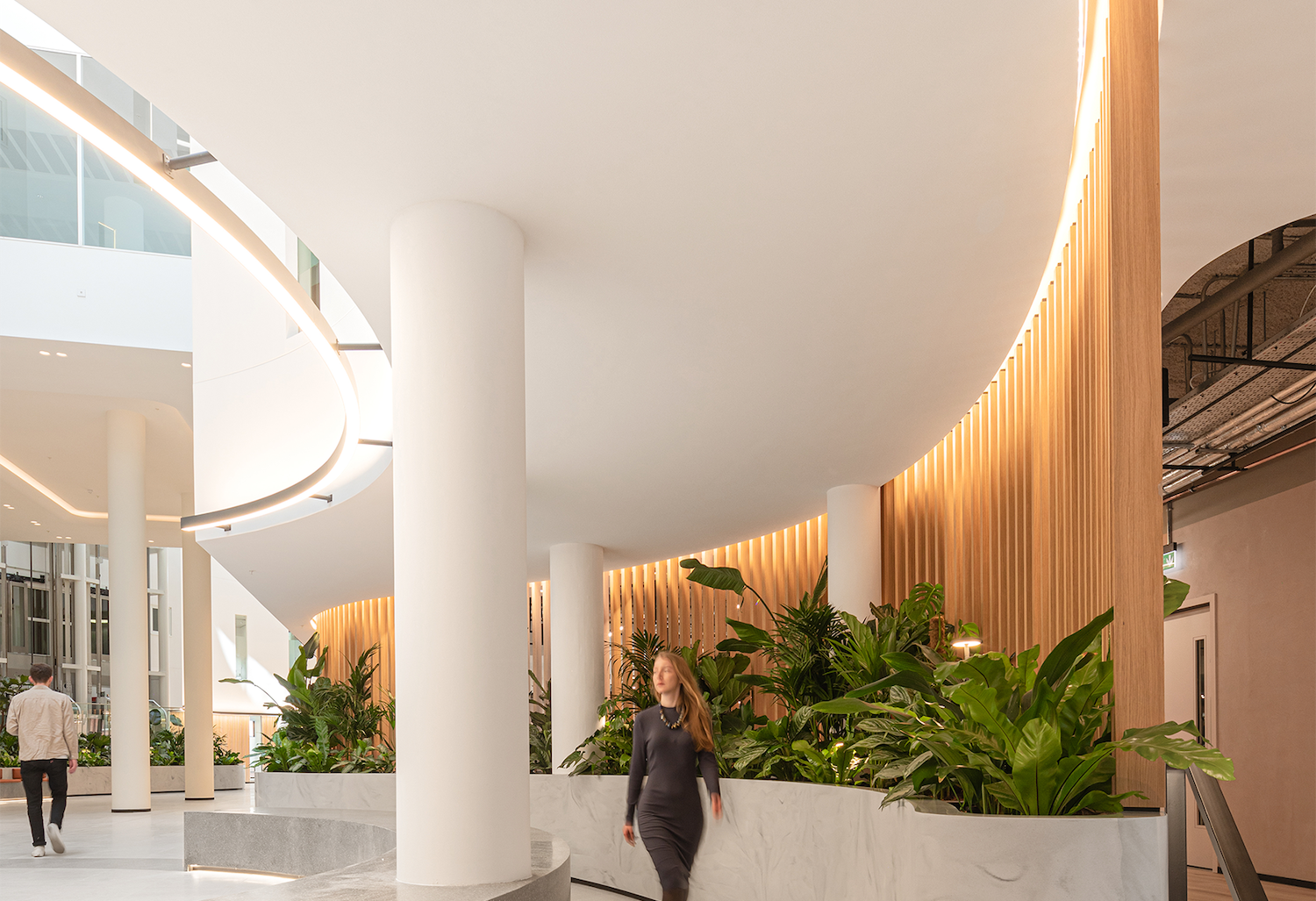 LEDFlex Group | Optico Neon