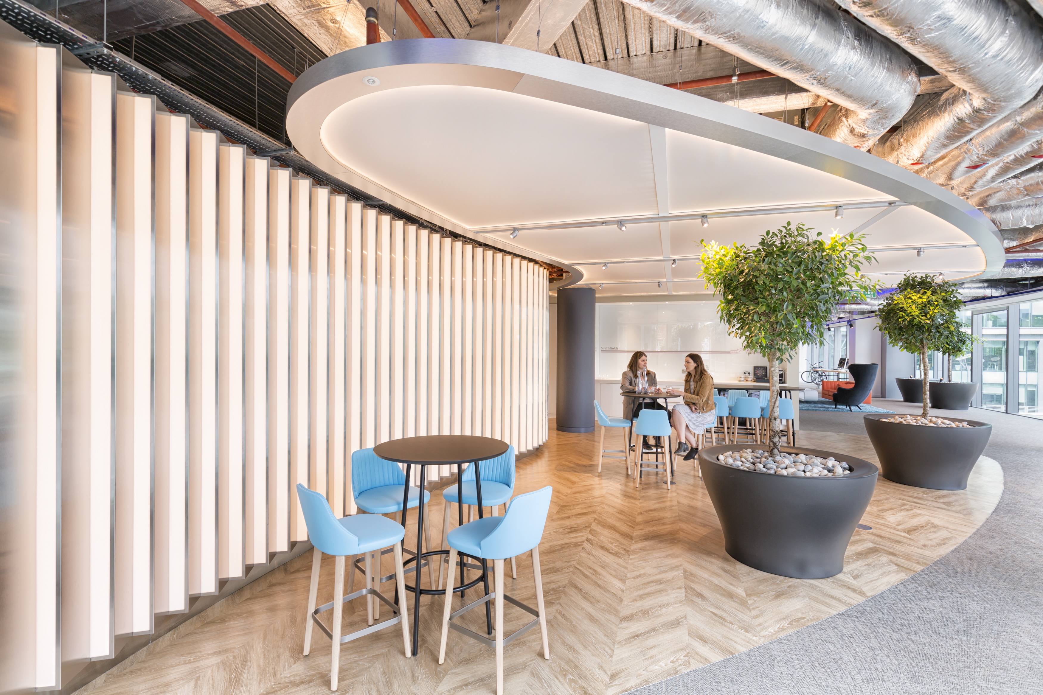 LEDFlex Group - Visa Innovation Centre